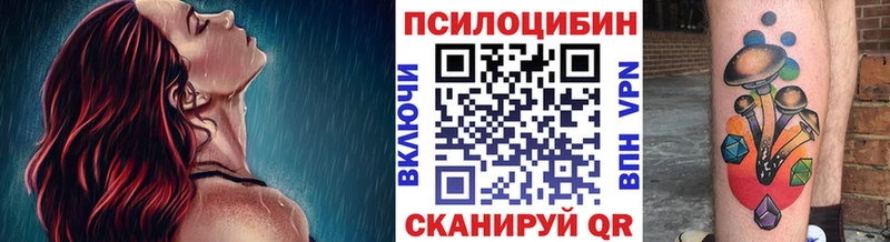 Галлюциногенные грибы Cubensis  Струнино 